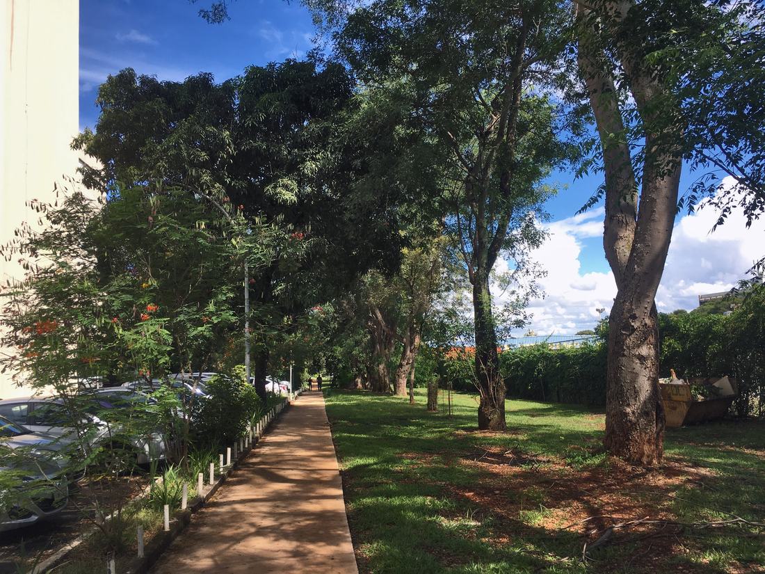 Blocos residenciais de uma superquadra em Brasília